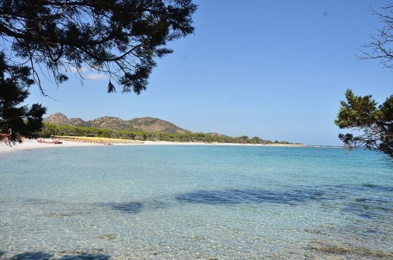 I Giardini di Cala Ginepro Hotel Resort 25541 1 768x509