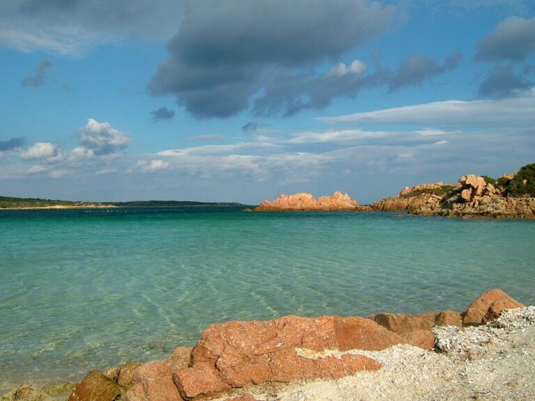 Fonte: Porto di Olbia Fonte: Porto di Olbia