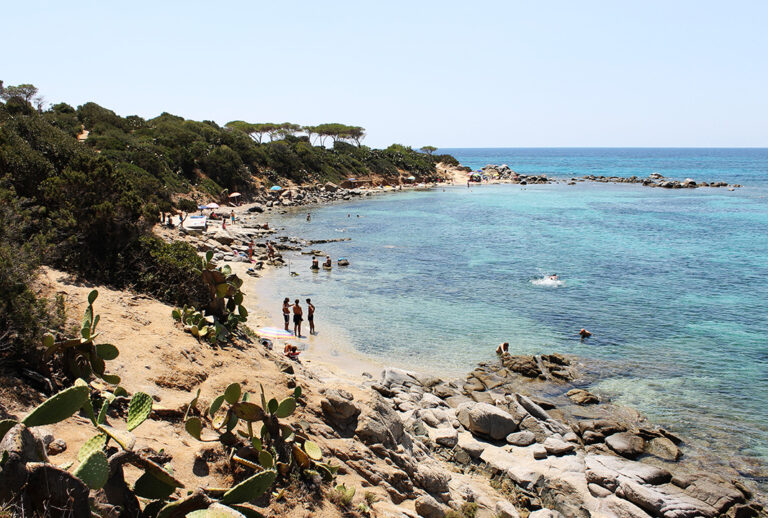 Fonte: sardegnaconme.com Fonte: sardegnaconme.com