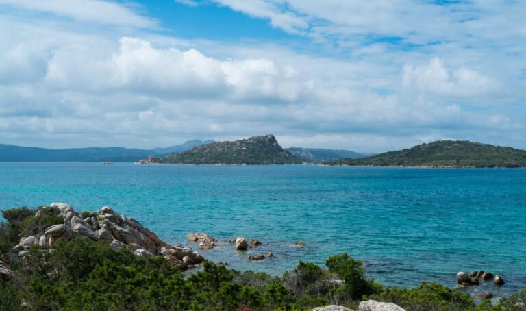 Fonte: Porto di Olbia Fonte: Porto di Olbia