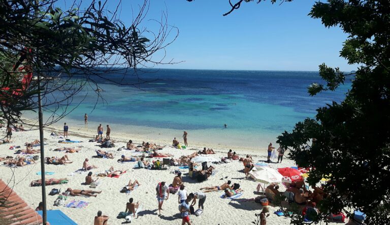 spiaggia calamosca fonte tracce di Sardegna 768x444