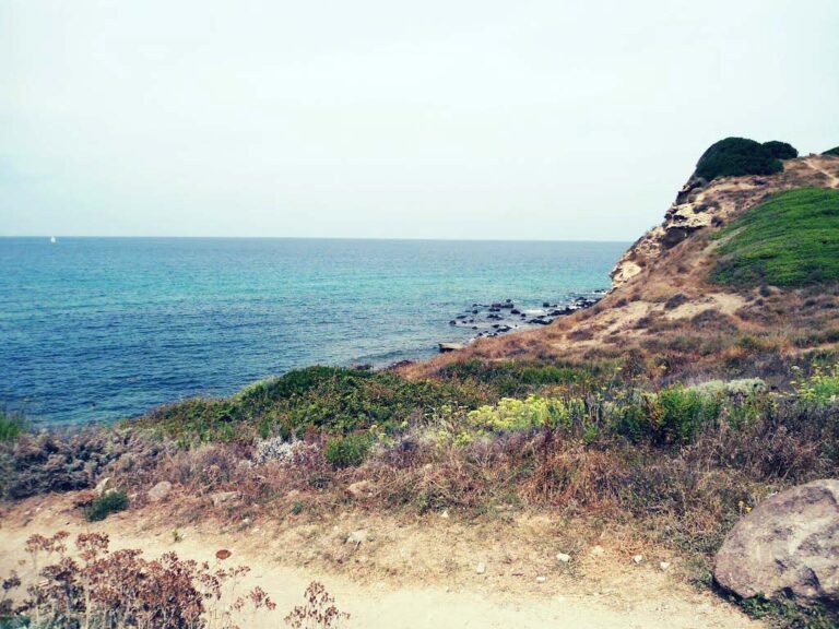 Fonte: mare di Sardegna Fonte: mare di Sardegna