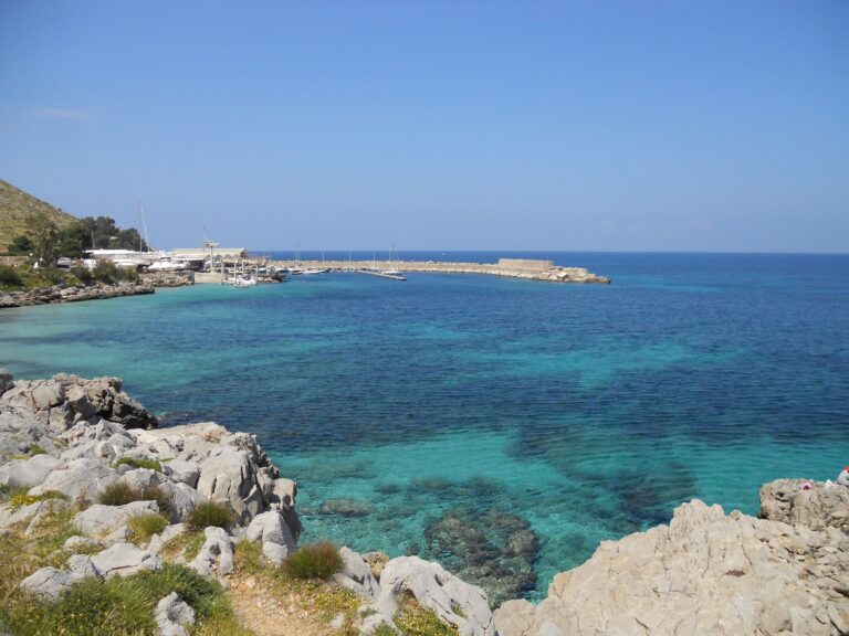 capo gallo 768x576